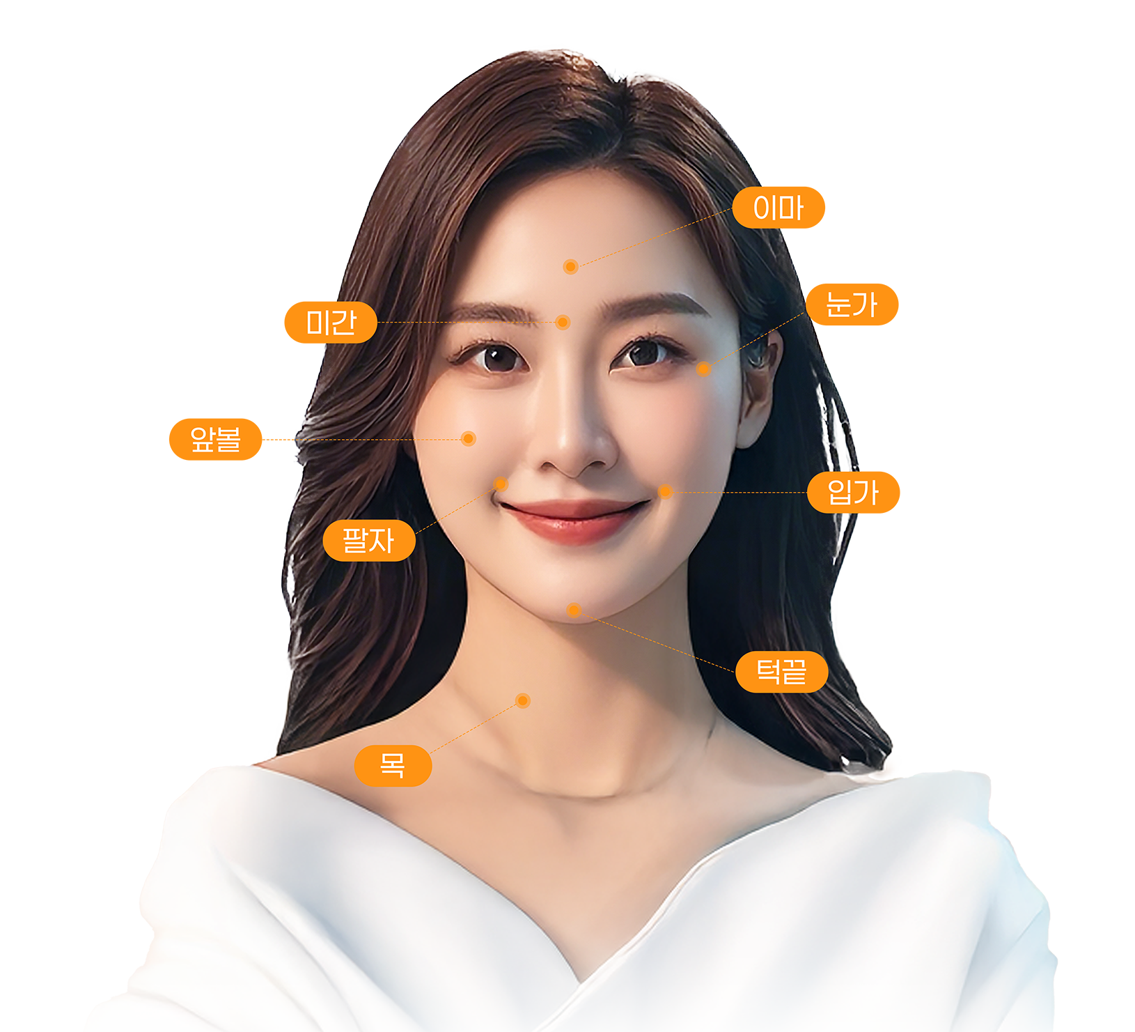 스킨부스터시술부위
